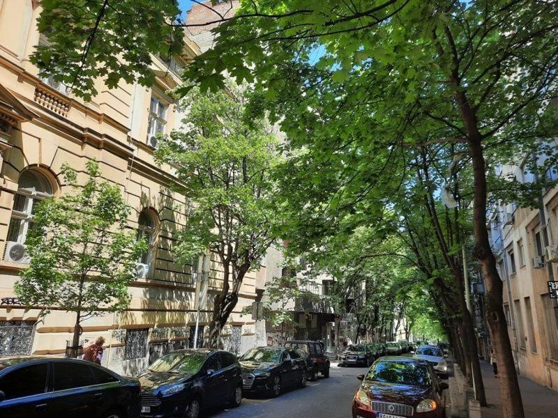 Apartment 51 - Bright, Spacious, Lux 1 Bedroom In The City Center - Stari Grad Belgrado Exterior foto